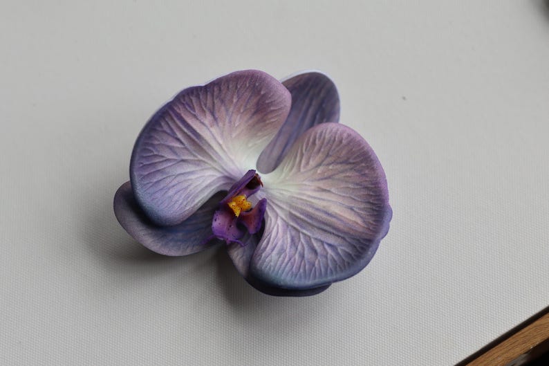 May include: A single purple orchid flower with a white center and yellow pollen. The flower has a delicate, textured appearance.