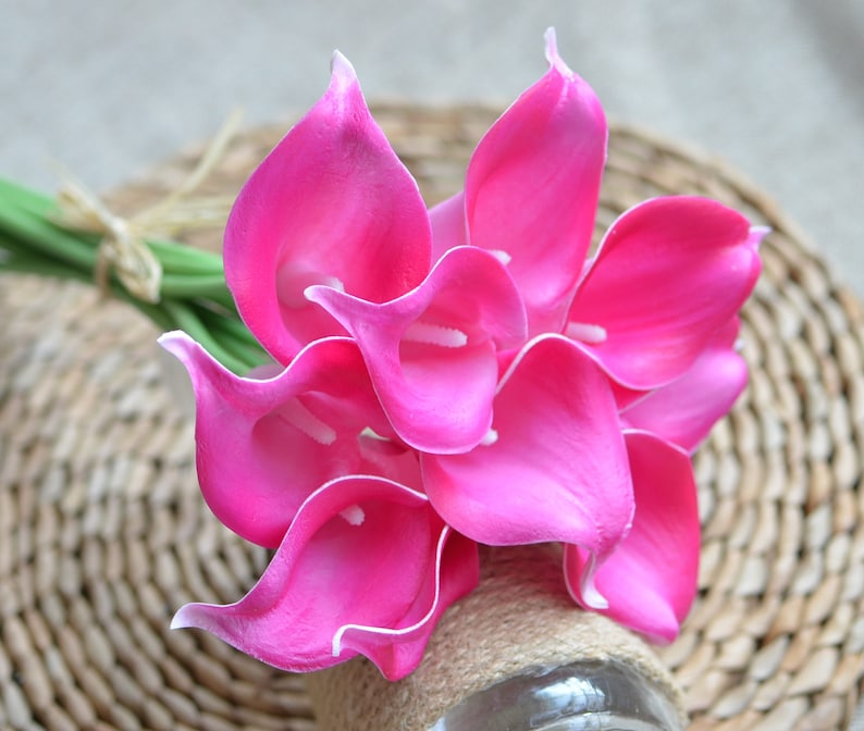 Puede incluir: Un ramo de calas rosas vibrantes con bordes blancos. Las flores est&aacute;n dispuestas con tallos verdes y atadas con hilo. El ramo se coloca sobre un fondo neutro, resaltando los p&eacute;talos de color rosa brillante.