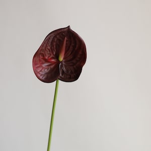 23.6" Real Touch Fake Burgundy Anthurium, Artificial Flowers, DIY Centerpieces/Floral/Wedding/Occasion/Home Decoration | Gifts for Her