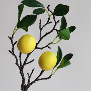 balkongelnder mit blumenkasten Blumenkasten BALCONI Metall Blumenkorb H/B/T 18,5/64/19,5 cm Eisen, du