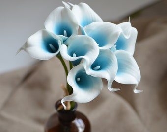 May include: A bouquet of white calla lilies with blue centers. The flowers are arranged in a vase.