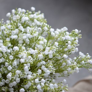 Baby's Breath Bundle, Artificial Baby's Breath, Faux White Wildflowers Bundle, DIY Wedding Bouquetes, DIY Bridesmaids Bouquets image 7