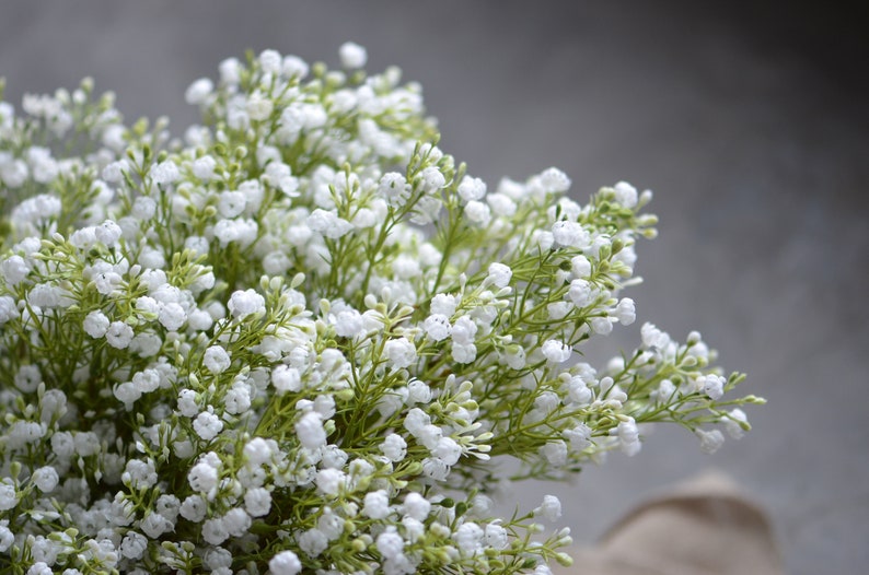 Baby's Breath Bundle, Artificial Baby's Breath, Faux White Wildflowers Bundle, DIY Wedding Bouquetes, DIY Bridesmaids Bouquets image 7