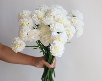 17" Faux Real Touch Carnations-Cream White, Artificial Carnation Stem, DIY Centerpieces/Florals/Wedding/Home Decorations, Gifts For Her
