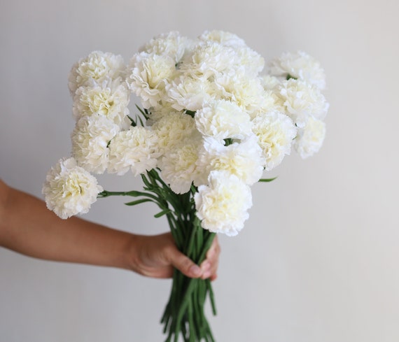 17" Faux Real Touch Carnations-Cream White, Artificial Carnation Stem, DIY Centerpieces/Florals/Wedding/Home Decorations, Gifts For Her