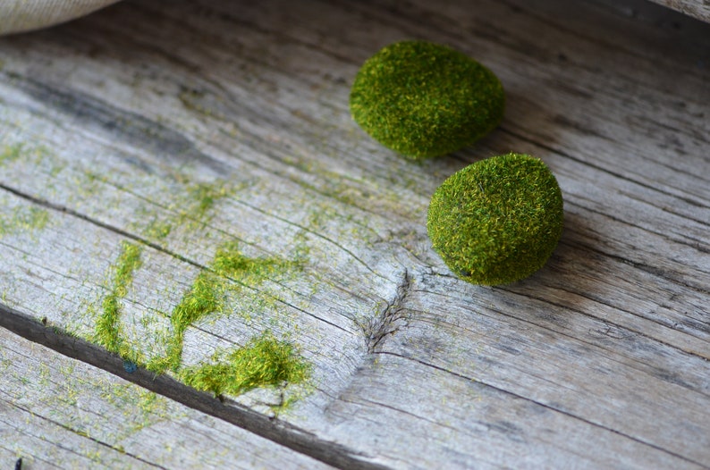 May include: Two small round balls of green moss on a weathered wooden surface.