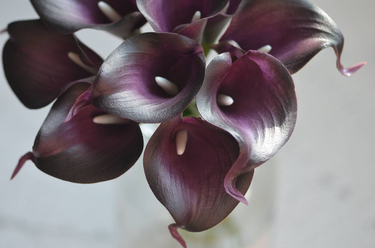 Plum Purple Calla Lilies Real Touch Flowers DIY Silk Wedding Etsy