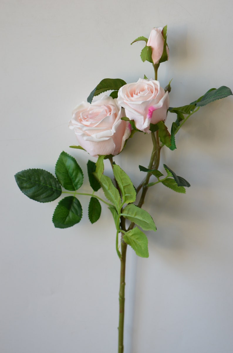 Pale Blush Pink Roses Real Touch Roses Old English Garden Etsy