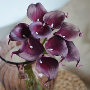 May include: A bouquet of deep purple calla lilies with white centers arranged in a clear glass vase.