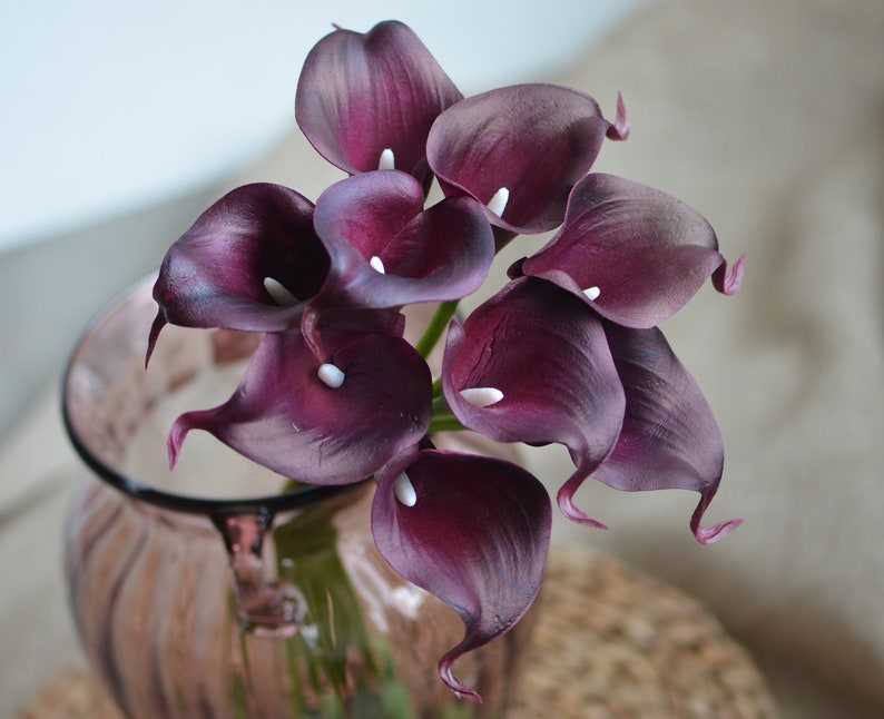 May include: A bouquet of deep purple calla lilies with white centers arranged in a clear glass vase.