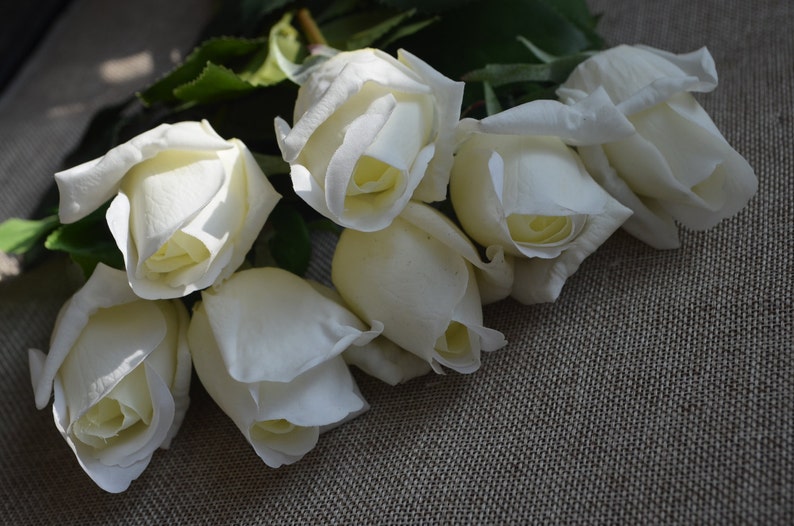 17 Cream White Real Touch RoseBuds, DIY Florals Wedding/Home Decoration Gifts, DIY Bouquets/Centerpieces image 1