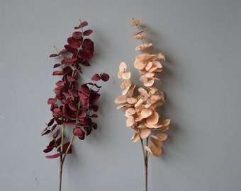 May include: Two sprigs of dried eucalyptus, one in a deep burgundy color and the other in a light beige color. The sprigs are arranged against a light gray background.