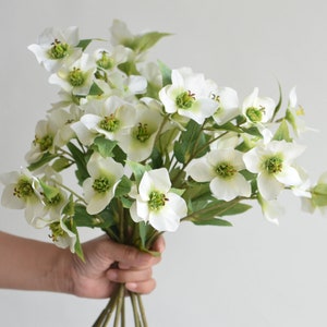 17.5" Fake Helleborus Flowers Branch- Cream Green, Faux Blooms Branch, DIY Florals Arrangement, DIY Wedding/Home Decorations, Gift For Her
