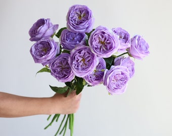 18.9” Purple Faux Real Touch English Cabbage Roses Realistic Fake Flowers, Spring Summer DIY Florals |Wedding/Home/Kitchen Decoration, Gifts