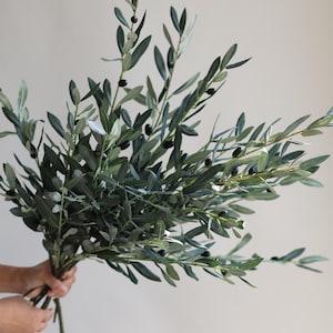 May include: A bunch of artificial olive branches with green leaves and black olives.