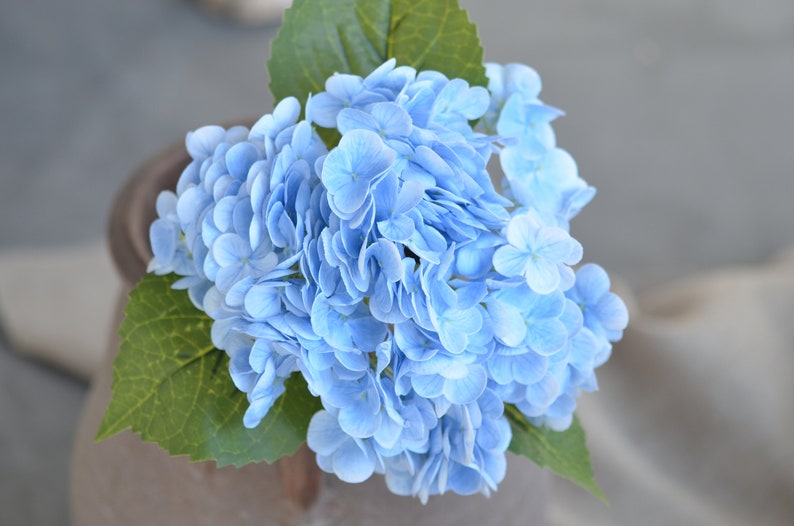 20" Real Touch Blue Hydrangea Stem, High Quality Artificial Flower | DIY Florals Supply | Wedding/Home/Kitchen Decoration | Gifts light blue--daxiuqiu
