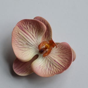 May include: A single pink orchid flower with a light brown center. The flower has a delicate, textured appearance.