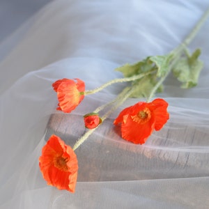 Puede incluir: Un ramo de flores de amapola naranja con tallos y hojas verdes sobre un fondo de tul blanco.