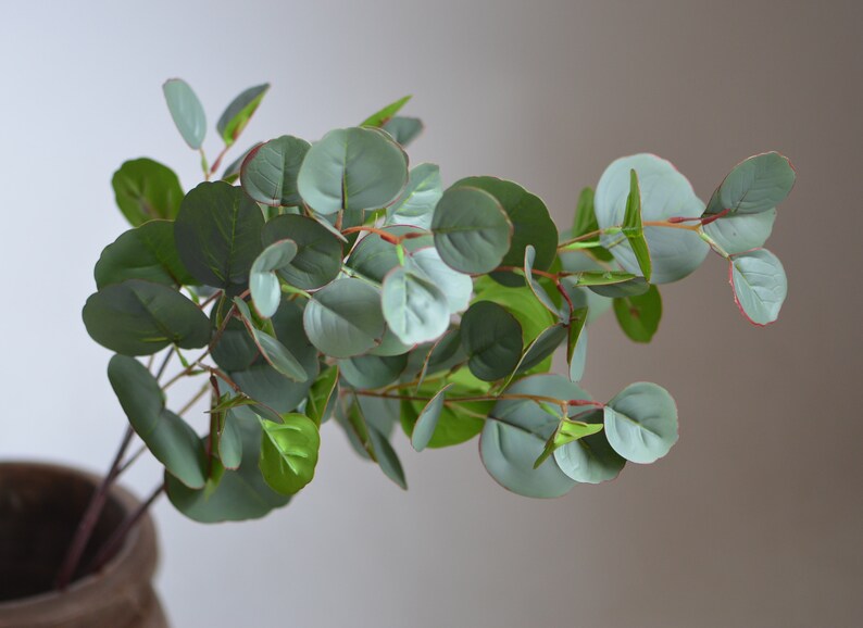 Round Eucalyptus Artificial Real Touch Eucalyptus Leaves Round Eucalyptus Artificial Real Touch Eucalyptus Leaves