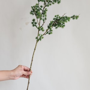 K&ouml;nnte beinhalten: Ein gr&uuml;ner Zweig mit kleinen, nadelf&ouml;rmigen Bl&auml;ttern und einem braunen Stiel. Der Text "This is one branch-Green" steht oben. Der Zweig wird von einer Hand vor einem schlichten wei&szlig;en Hintergrund gehalten.