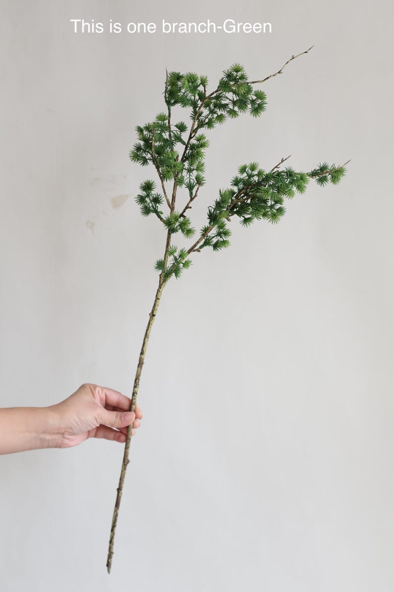 K&ouml;nnte beinhalten: Ein gr&uuml;ner Zweig mit kleinen, nadelf&ouml;rmigen Bl&auml;ttern und einem braunen Stiel. Der Text "This is one branch-Green" steht oben. Der Zweig wird von einer Hand vor einem schlichten wei&szlig;en Hintergrund gehalten.