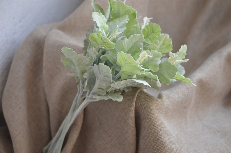May include: A bunch of artificial lamb's ear plants with soft, fuzzy, light green leaves. The plants are arranged in a bouquet and are sitting on a brown fabric surface.