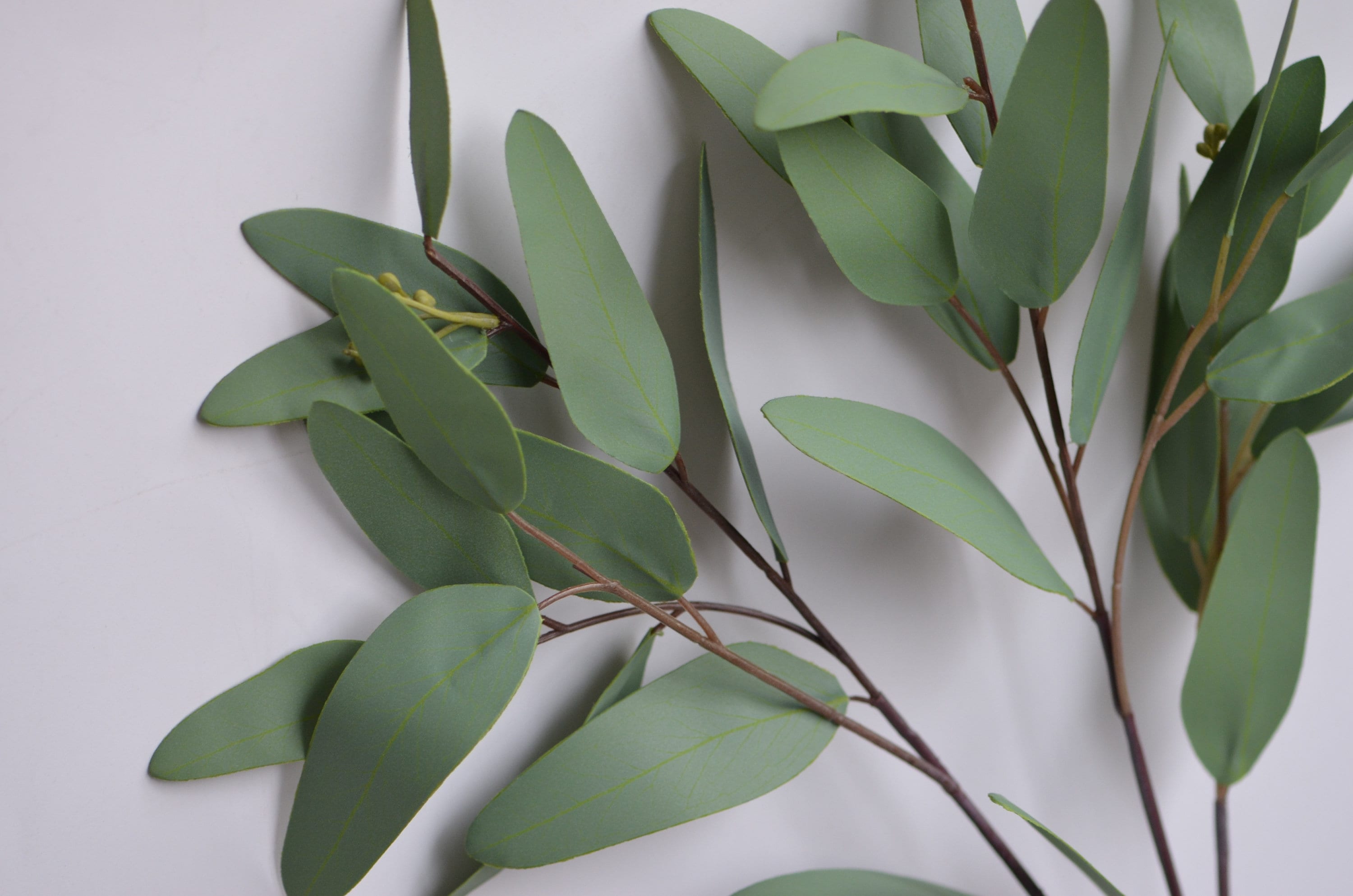 Eucalyptus Artificial Real Touch Eucalyptus Leaves Vintage Etsy