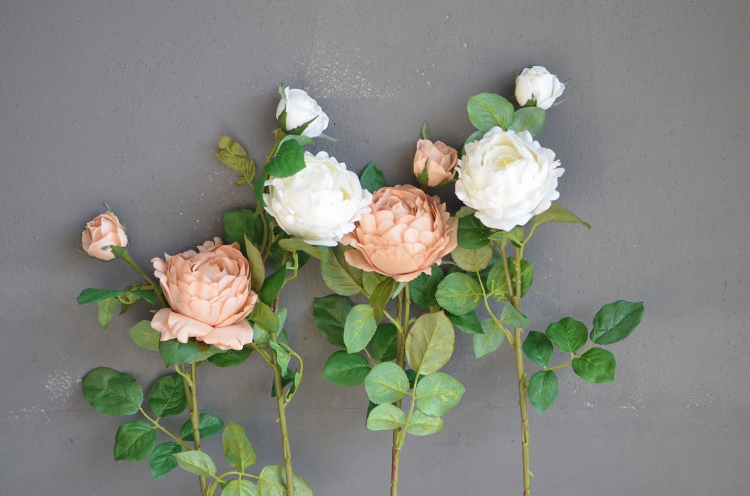 Dusty Pink Peony Rose, Rust Peach Real Touch Rose Peony, Fall Wedding ...