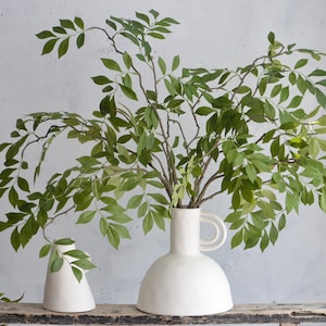 May include: Two white ceramic vases with a leafy green plant in the larger vase. The larger vase has a wide, rounded base and a handle on the side. The smaller vase is a simple cone shape.