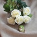 see more listings in the Vraies roses tactiles section