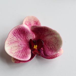 May include: A single pink orchid flower with a yellow center. The flower is on a white background.