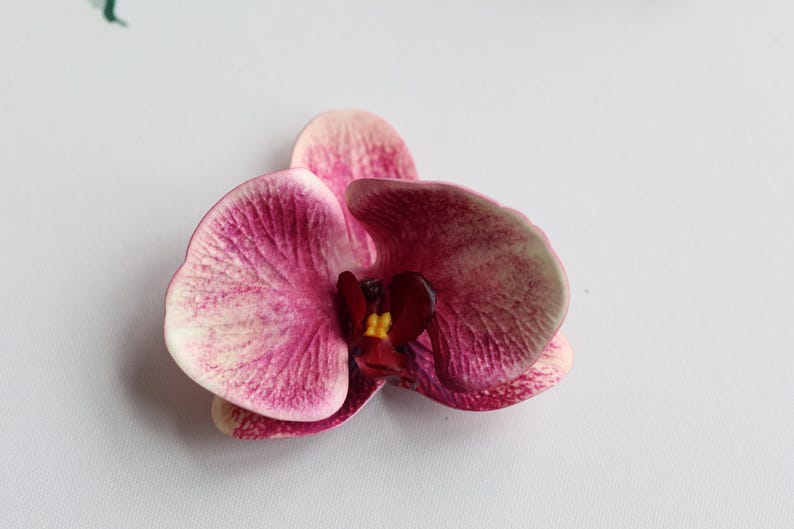 May include: A single pink orchid flower with a yellow center. The flower is on a white background.