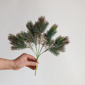 Puede incluir: Una ramita de vegetación artificial con agujas verdes y marrones. El tallo es verde y las agujas pasan del verde al marrón en las puntas. La ramita se sostiene en una mano sobre un fondo blanco.
