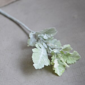 May include: A single stem of artificial lamb's ear with soft, fuzzy, light green leaves.