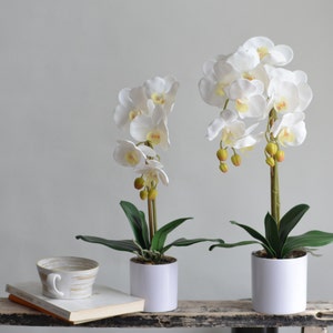 17.7&quot; & 21&quot; White Orchids Real Touch Flowers Phalaenopsis Arrangment with Vase, Home/Kitchen Decorations, Table Centerpieces
