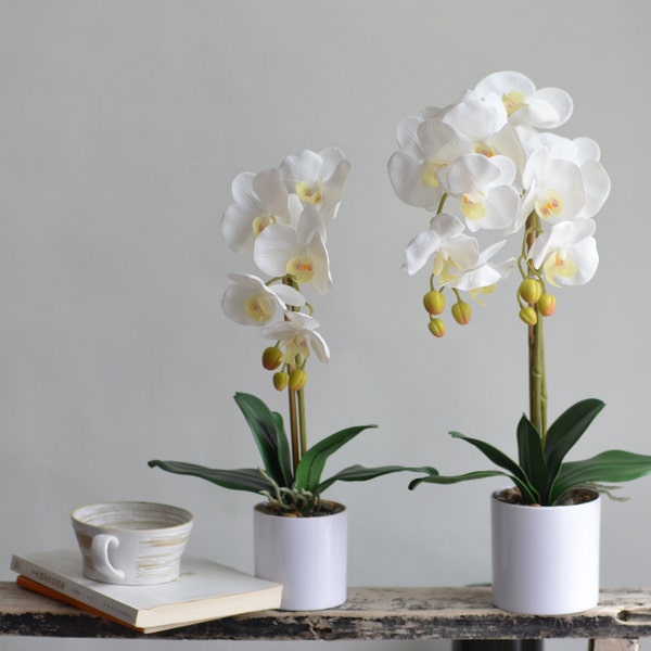 Orquídeas blancas de 17.7" y 21" Flores de tacto real Arreglo de Phalaenopsis con jarrón, Decoraciones para el hogar/cocina, Centros de mesa