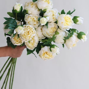 Pu&ograve; includere: Un mazzo di peonie bianche con steli e foglie verdi.
