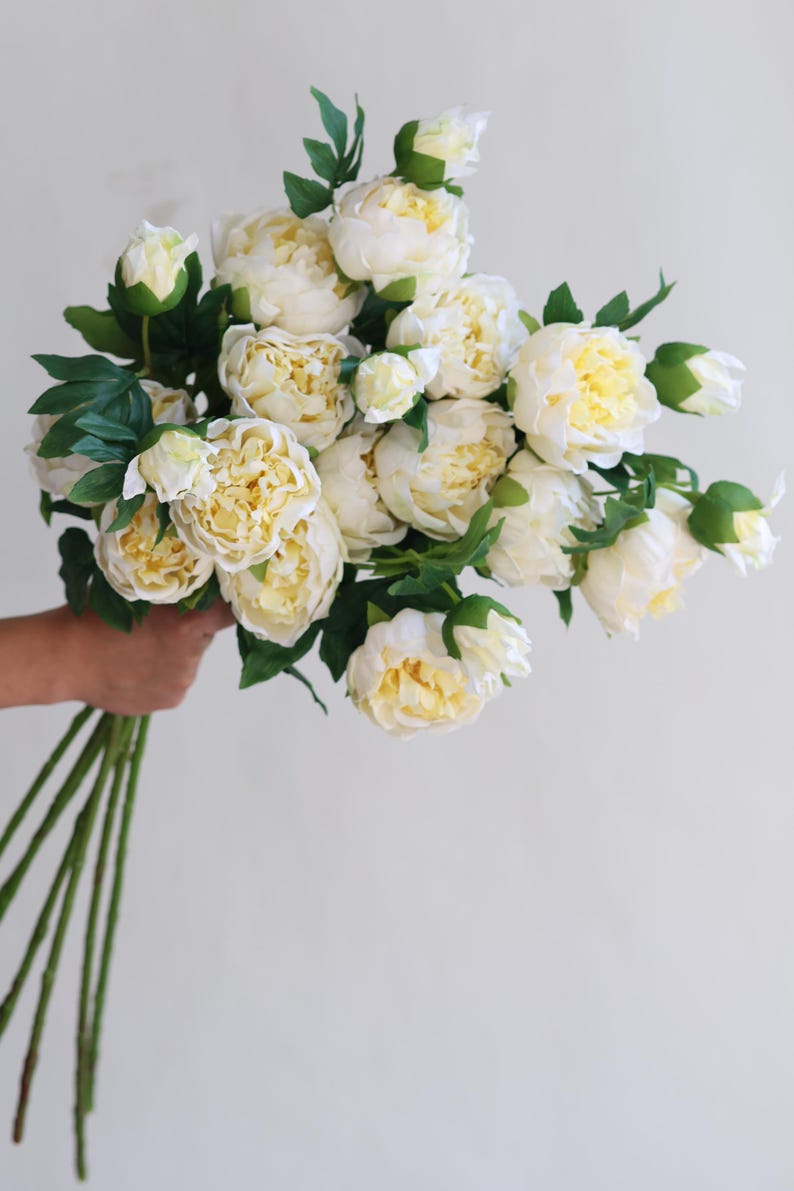 Pu&ograve; includere: Un mazzo di peonie bianche con steli e foglie verdi.
