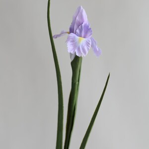 May include: A single artificial purple iris flower with green stems.