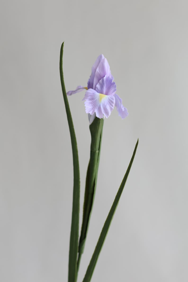 May include: A single artificial purple iris flower with green stems.