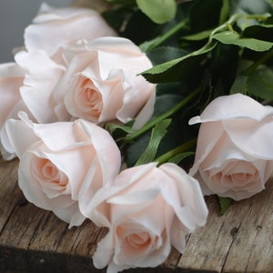 Blush/Pale Pink Real Touch Artificial Half-Open Roses, DIY Florals | Wedding/Home/Kitchen Decoration | Gifts, DIY Bouquets/Centerpiece
