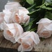 see more listings in the Vraies roses tactiles section