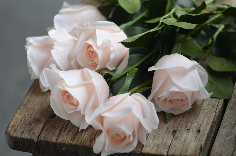 Blush/Pale Pink Real Touch Artificial Half-Open Roses, DIY Florals Wedding/Home/Kitchen Decoration Gifts, DIY Bouquets/Centerpiece image 1