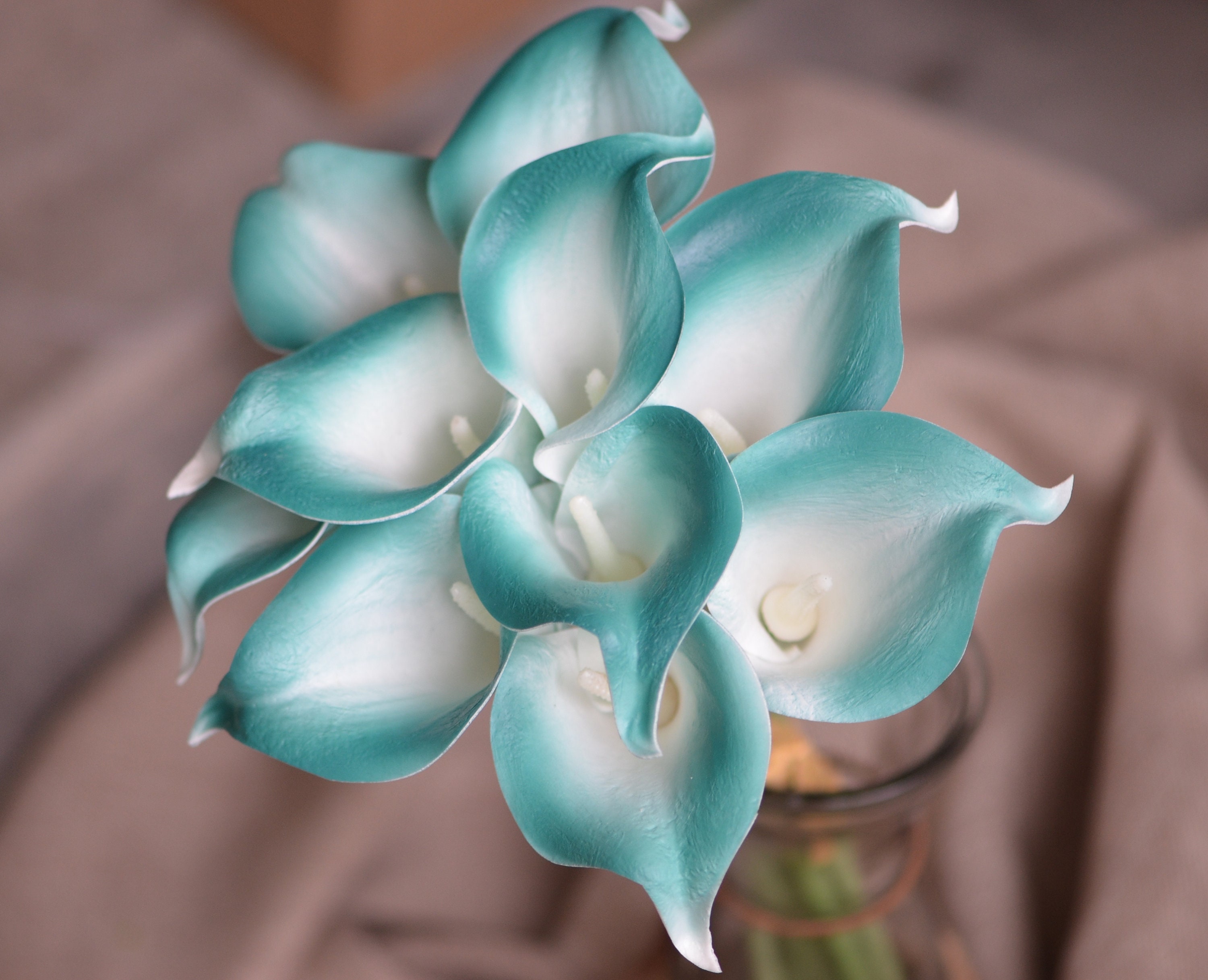 10 Teal White Center Calla Lilies Real Touch Flowers DIY Silk Etsy