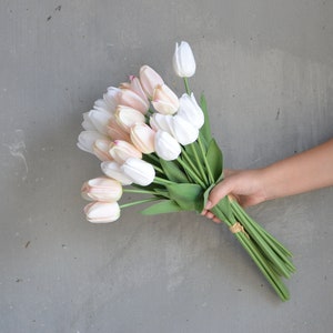 May include: A bouquet of white and blush pink tulips with green stems.