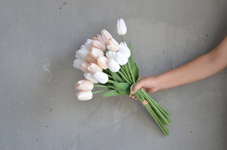 May include: A bouquet of white and blush pink tulips with green stems.