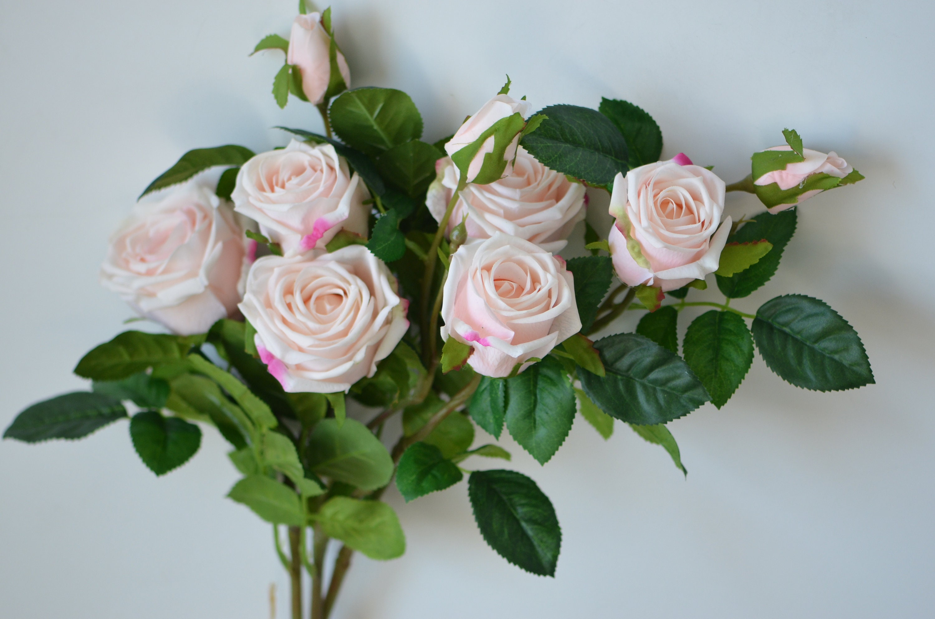 Pale Blush Pink Roses Real Touch Roses Old English Garden Etsy