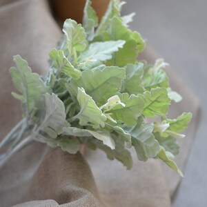 May include: A bunch of artificial lambs ear plants with soft, fuzzy, light green leaves.