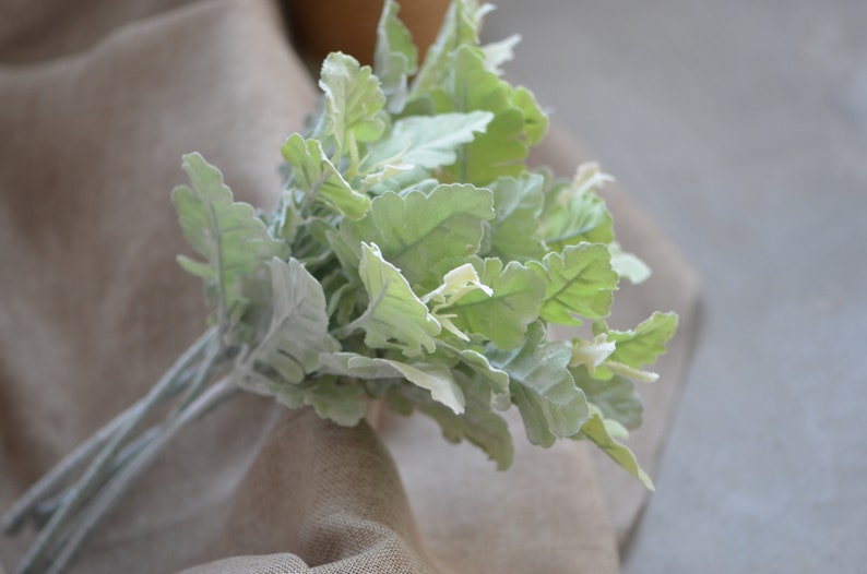 May include: A bunch of artificial lambs ear plants with soft, fuzzy, light green leaves.