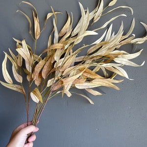 Ivory Beige Willow Eucalyptus, Artificial Eucalyptus, Brown Vintage Greenery, Fall Winter Home Decor
